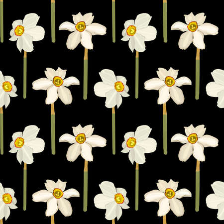Narcis flowers seamless pattern.のイラスト素材