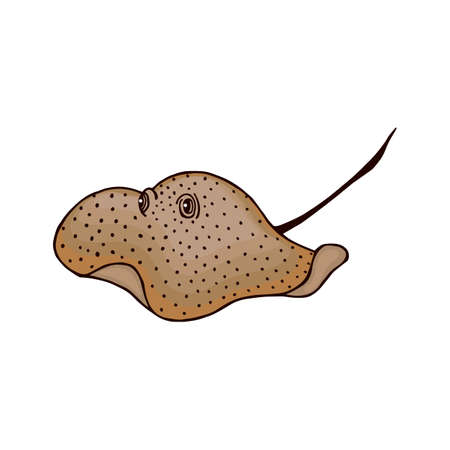 Electric Stingray is a sea animal. Vector stock illustration eps10. Isolate on white backgroundのイラスト素材