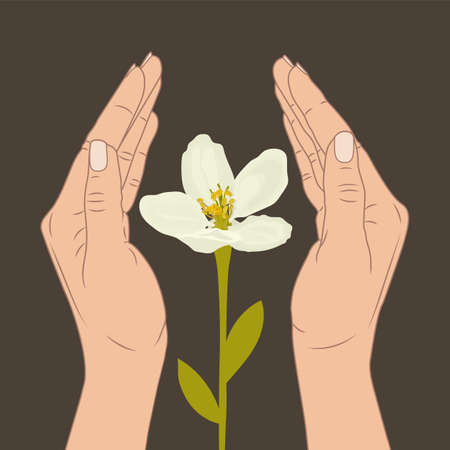 Women's hands protect nature. Flower. Vector stock illustration eps10.のイラスト素材