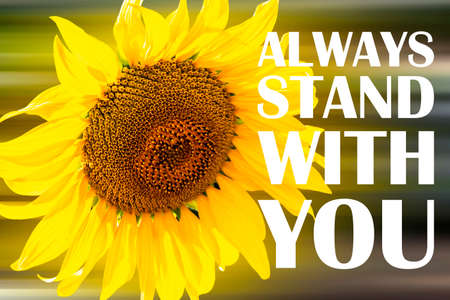 Always stand with you - Quotes. On blurry nature background. Bright yellow sunflower flower.
