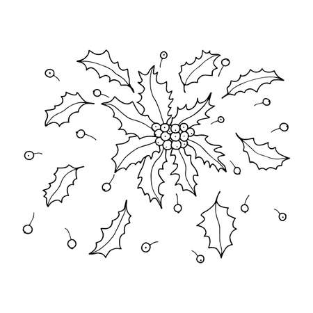 Holly Hollyleaf. Vector stock illustration eps10. Isolate on white background, outline, hand drawing.のイラスト素材