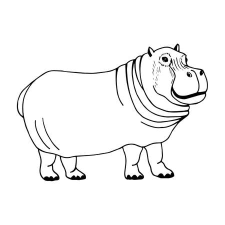 Hippopotamus.  Vector stock illustration eps10. Isolate on white background, outline, hand drawing.のイラスト素材