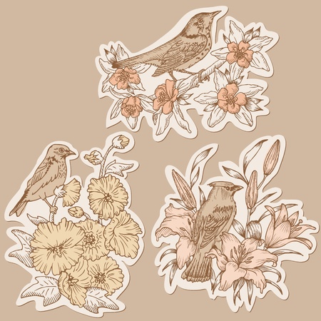 Set of Vintage Birds and Flowers on tags - hand drawn in vectorのイラスト素材