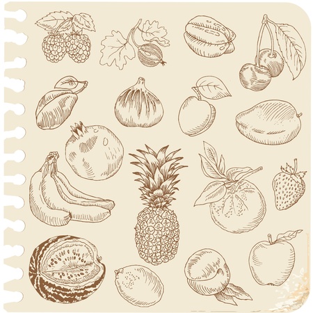 Set of Doodle Fruits - for scrapbook or design - hand drawn in vectorのイラスト素材