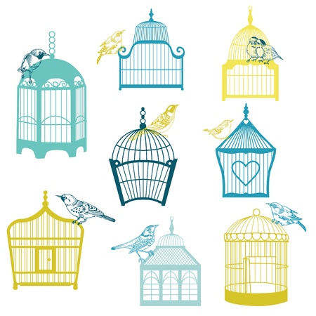 Birds and Birdcages Collection - for design or scrapbook のイラスト素材
