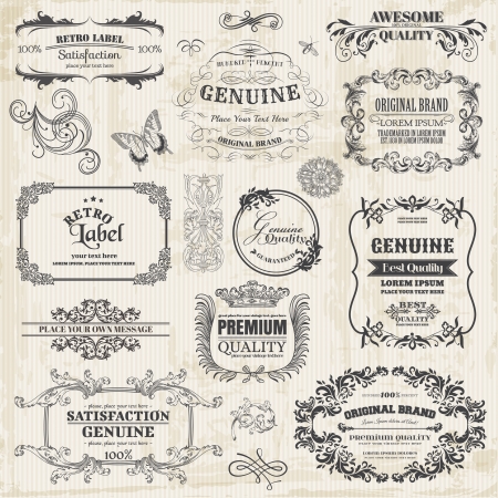 Vector Set: Calligraphic Design Elements and Page Decoration, Vintage Frame collection with Flowers