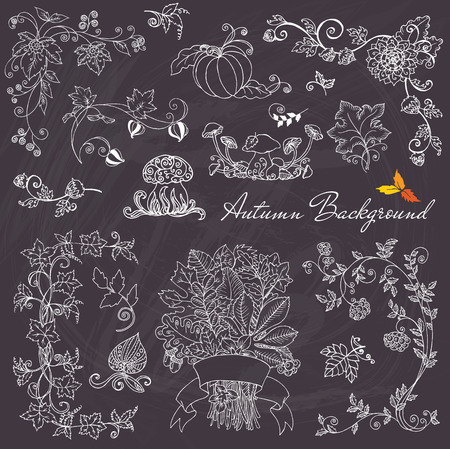 set of Decorative Autumn Branches and Elementsのイラスト素材