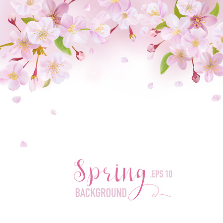 Cherry Blossom Spring Background - with place for your Text - in vectorのイラスト素材