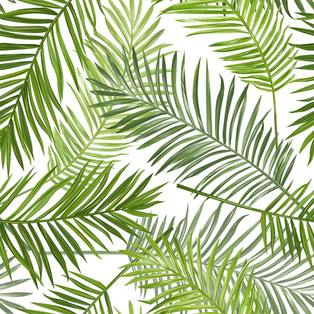 Seamless Tropical Palm Leaves Background - for design, scrapbook - in vectorのイラスト素材