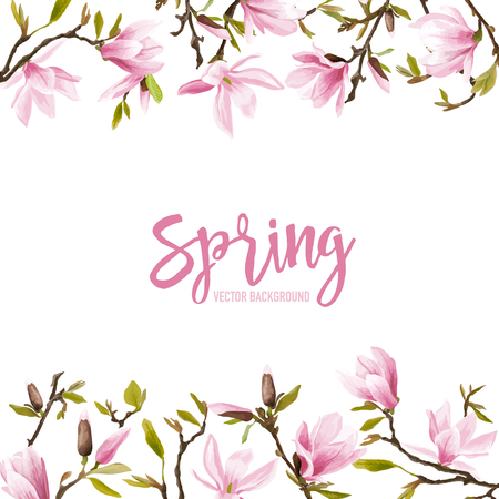 Spring Blossom Background - Magnolia Flowers - in vectorのイラスト素材