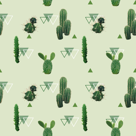 Geometric Cactus Plant Seamless Pattern. Exotic Tropical Summer Botanical Background in Vector.