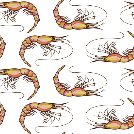 Seamless Shrimps Background Pattern in Vectorのイラスト素材