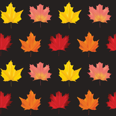 Seamless Colorful Autumn Leaves Background Pattern in Vectorのイラスト素材
