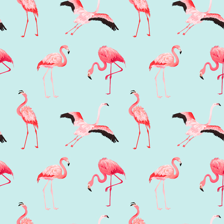 Tropical Flamingo seamless vector summer pattern. Exotic Pink Bird background for wallpapers, web page, texture, textile. Nature Wildlife Fauna Designのイラスト素材