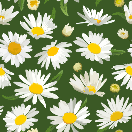 Floral Seamless Pattern with Chamomile Flowers. Natural Background with Daisy Flowers for Spring Summer Design Wallpaper, Decoration, Print. Vector illustrationのイラスト素材