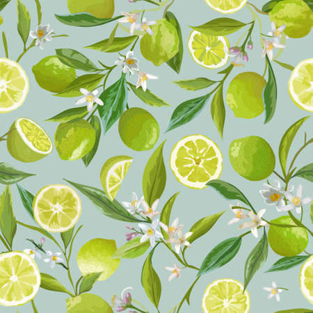 Lime Seamless Pattern. Citrus Fruit  Illustration Background. Floral Vintage  Garden Print, Textureのイラスト素材