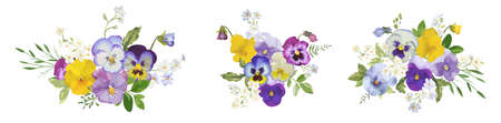 Watercolor pansy flowers bouquet collection. Vector viola spring floral set illustration. Summer bloomのイラスト素材