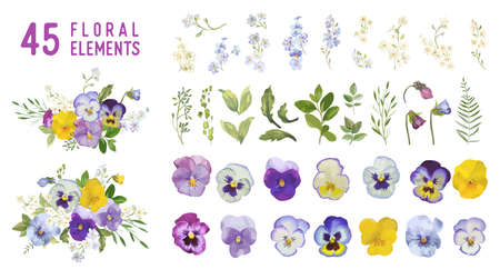 Vintage pansy flowers and leaves, spring violet florals in watercolor style. Vector summer garden designのイラスト素材