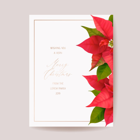Elegant Merry Christmas and New Year Card with Poinsettia Realistic Flowers, Floral Wreathのイラスト素材