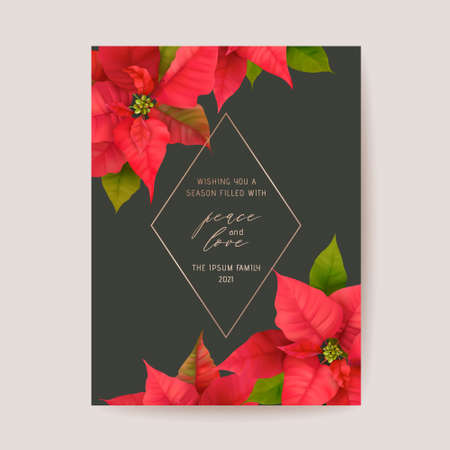 Elegant Merry Christmas and New Year Card with Poinsettia Realistic Flowers, Floral Wreathのイラスト素材