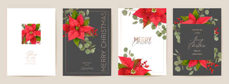 Poinsettia Realistic Vector Christmas Card Set, Floral Happy New Year Illustration. Mistletoe Frame Design Setのイラスト素材