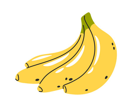 Hand drawn fruit banana bunchのイラスト素材
