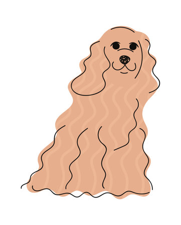 Longhaired spaniel hand drawn dogのイラスト素材