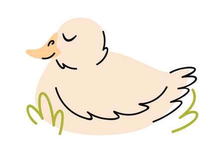 White duck sleeping hand drawnのイラスト素材