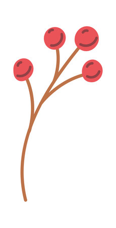 Natural rowanberry branch organic plantのイラスト素材