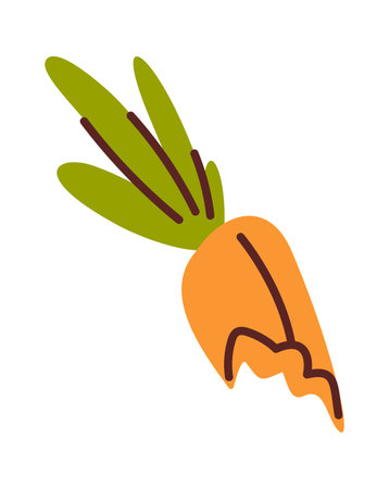 Carrot scraps biodegradable compost materialのイラスト素材