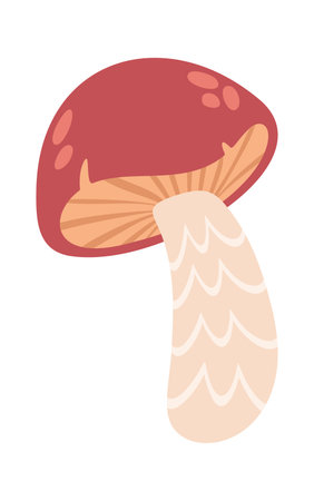 Flywheel mushroom with red capのイラスト素材