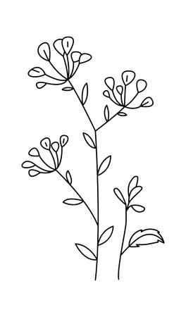 Botanical stem with thin branches, teardrop buds, and leaves drawn in clean line artのイラスト素材