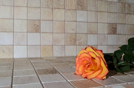 orange-yellow rose lies on a surface with a wooden texture. soft focus. copy spaceの写真素材