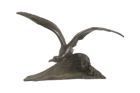 Seagull statue isolated on white background, clipping path included.の写真素材