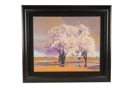 Picture of a tree in a black frame isolated on a white backgroundの写真素材