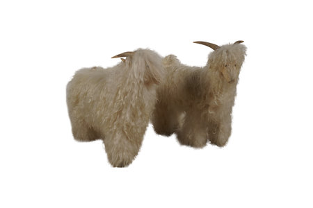 White goat on a white background. Isolated object for design.の写真素材