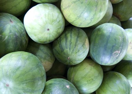 watermelonsの写真素材