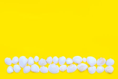 White sea shells laid out as a strip or line on a bright yellow background. Hot summer and beach theme. Copy space. Top view.の写真素材