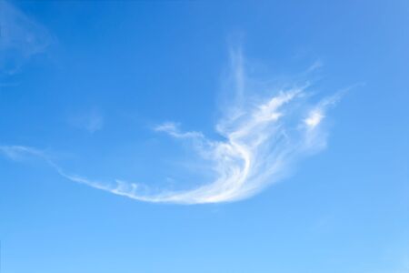 Lonely scenic translucent cirrus cloud high in the blue summer sky. Different cloud types and atmospheric phenomena. Skyscape on a sunny day.の写真素材