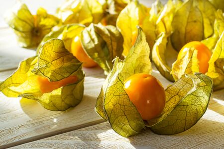Many yellow ripe physalis fruits (Physalis peruviana) in the sunshine on a white wooden table. Fruits and vegetables, vegetarian and healthy eating. Ready to eat. Front view.の写真素材