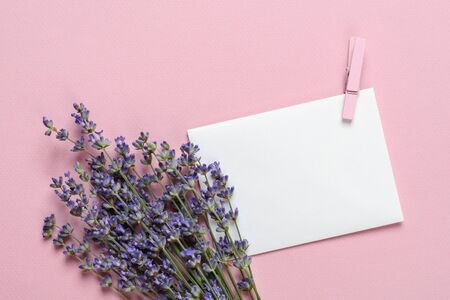 Small bouquet of fragrant blooming lavender near a blank sheet of white paper for notes over a textural pink background. Summer and romantic greeting card with copy space. Top view.の写真素材