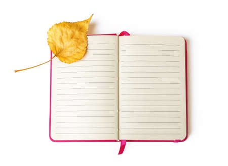 Yellow fall leaf on the upper left corner of an open notebook with lined paper isolated on a white...