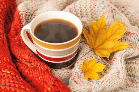 Striped mug of hot steaming coffee wrapped in a red beige knitted scarf and two dry yellow autumn...