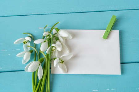 Small bouquet of Galanthus Nivalis snowdrops flowers on paper blank with green clothespin against blue wood desk. Vintage spring season holidays greeting card mock-up. Copy space. Top view.の写真素材