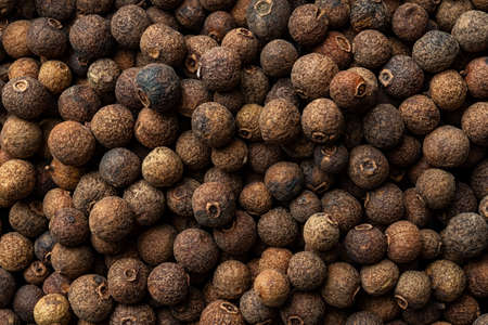 Allspice jamaica pepper texture background. Dried brown berries of the Pimenta dioica tree. Concepts...