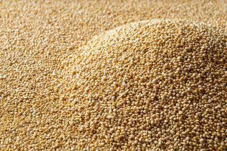 Pile of white quinoa seeds as a background. Heap of raw quinoa grains macro texture. Dry chenopodium quinoa for gluten free dieting and vegetarian healthy eating concepts. Front view.の写真素材