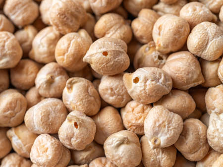 Holes in chickpea beans bored of larvae weevil macro. Dry chickpeas infested with wheat weevil Sitophilus granarius. Raw legume bobs damaged with grain insect. Food spoilage beetle. Close-up.の写真素材