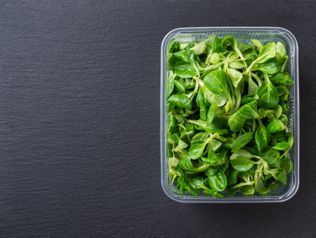 Lambs lettuce in a rectangular food container over black slate background. Fresh corn salad leaves or mache for vitamin vegetable salad. Low calories salad greens. Slimming diet. Copy space. Top view.の写真素材