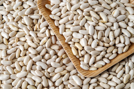 Dry white beans background. Raw kidney bean texture close-up. Plant protein, harvesting, organic...