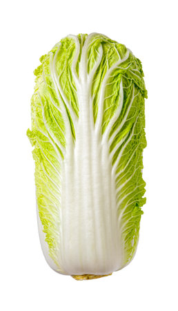 Fresh napa cabbage isolated on a white background. Whole head of chinese cabbage with green textured leaves cutout. Vegan food, vegetable, food design concept. Front view.の写真素材